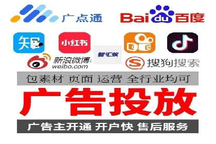 百度竞价广告投放策略：案例分析及效果评估